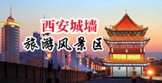 骚逼被大鸡巴操的下不了床的免费视频粉嫩中国陕西-西安城墙旅游风景区
