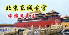 用力插我逼视频中国北京-东城古宫旅游风景区